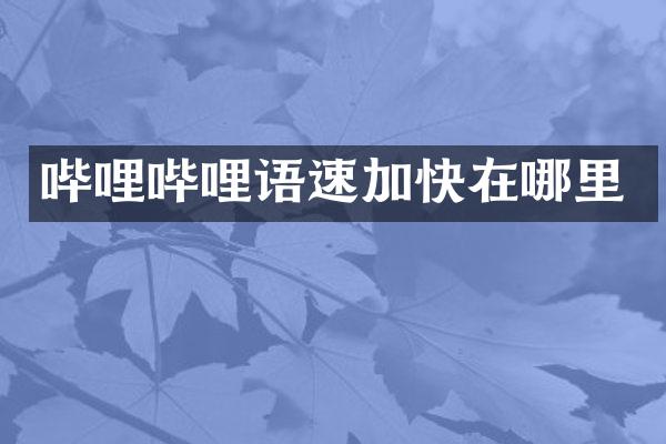 哔哩哔哩语速加快在哪里