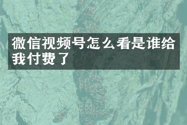 微信视频号怎么看是谁给我付费了