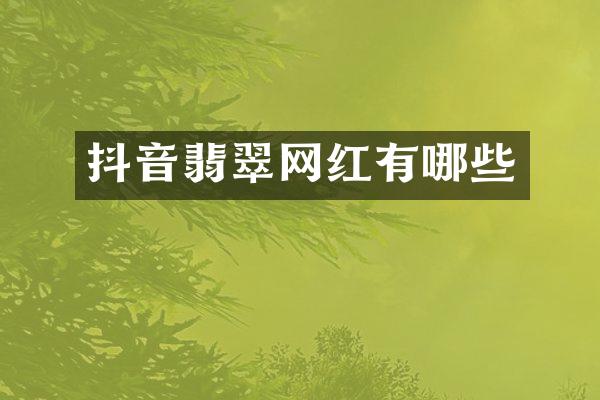 抖音翡翠网红有哪些