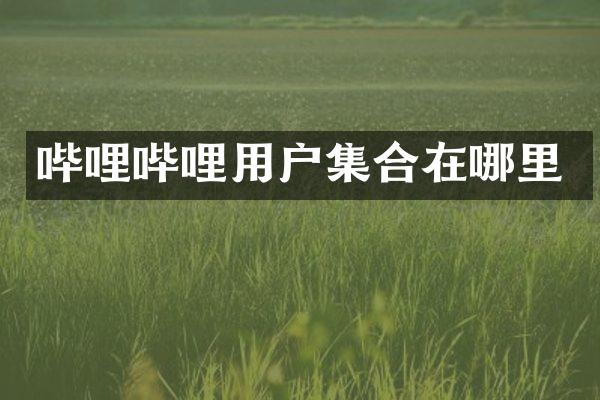 哔哩哔哩用户集合在哪里