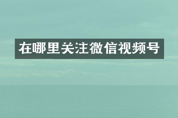 在哪里关注微信视频号
