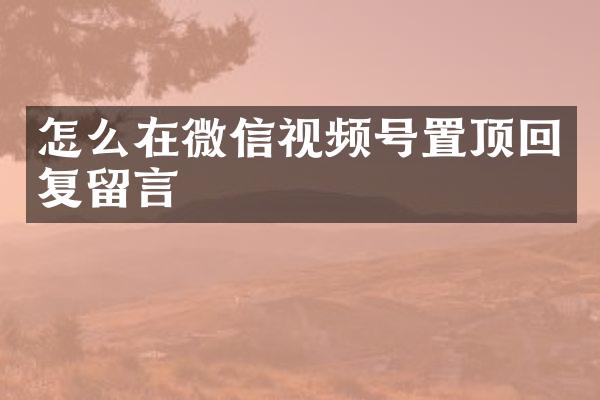怎么在微信视频号置顶回复留言
