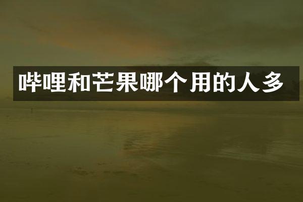哔哩和芒果哪个用的人多