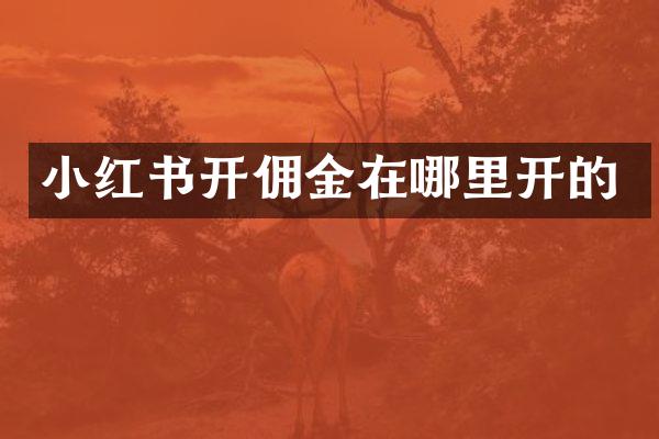 小红书开佣金在哪里开的