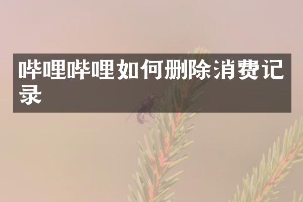 哔哩哔哩如何删除消费记录