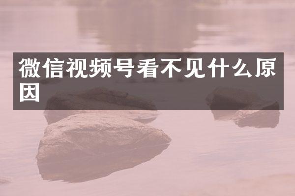 微信视频号看不见什么原因