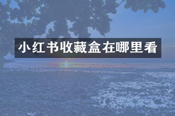 小红书收藏盒在哪里看