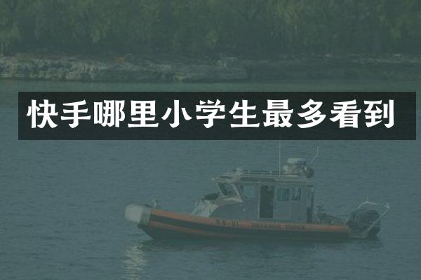 快手哪里小学生最多看到