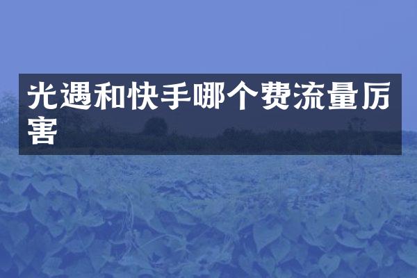 光遇和快手哪个费流量厉害