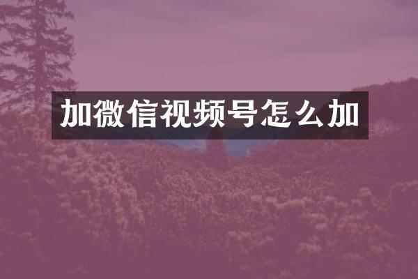 加微信视频号怎么加