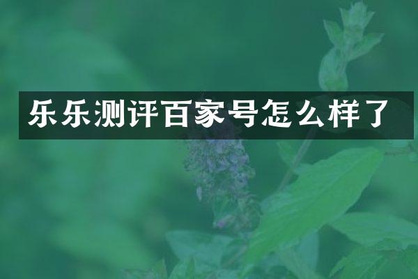 乐乐测评百家号怎么样了