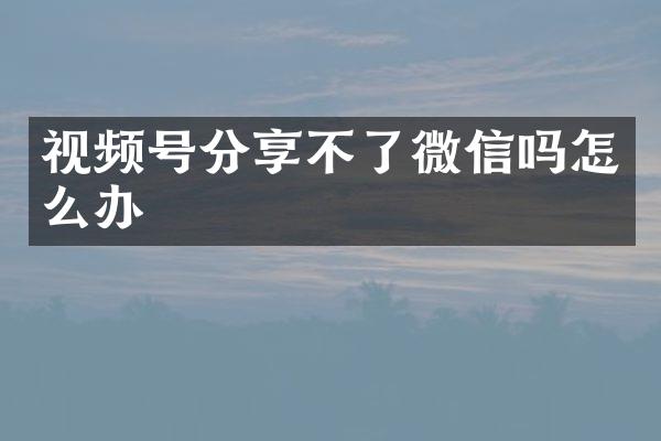 视频号分享不了微信吗怎么办