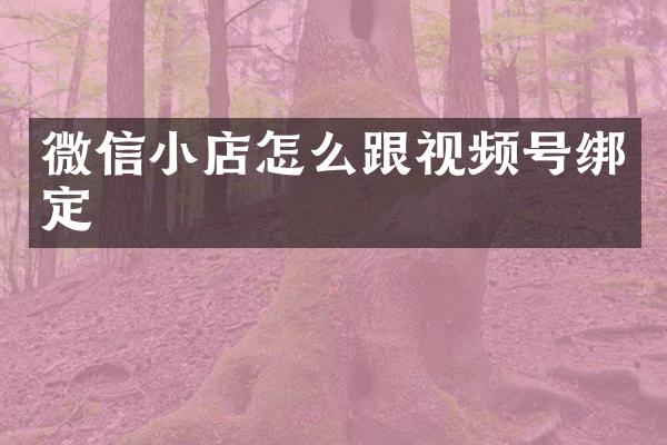 微信小店怎么跟视频号绑定