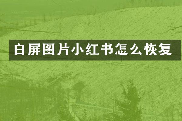 白屏图片小红书怎么恢复