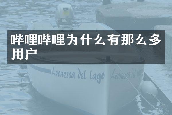 哔哩哔哩为什么有那么多用户
