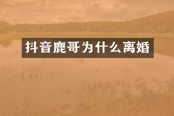 抖音鹿哥为什么离婚