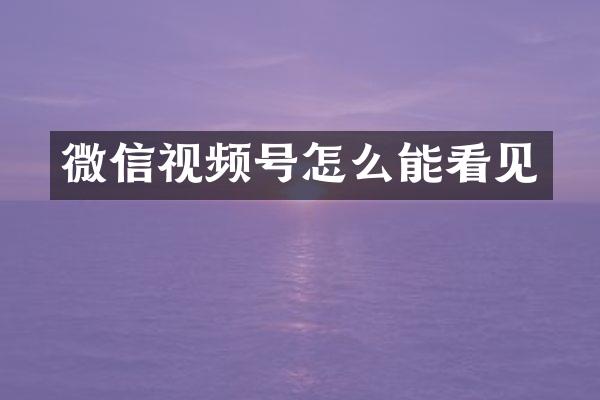微信视频号怎么能看见