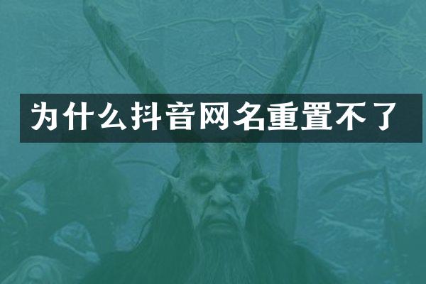 为什么抖音网名重置不了