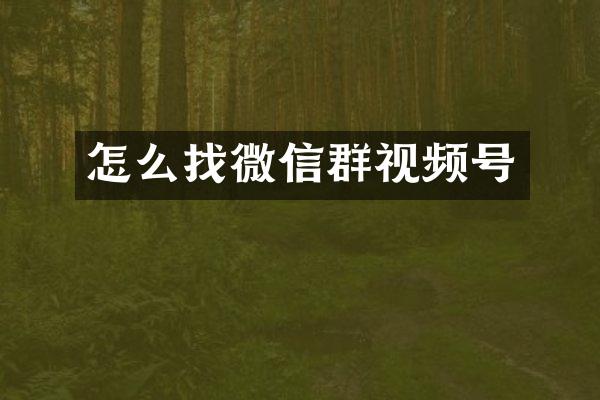 怎么找微信群视频号