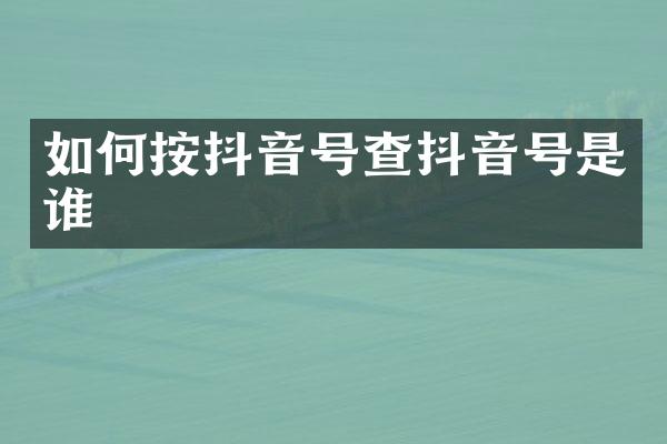如何按抖音号查抖音号是谁