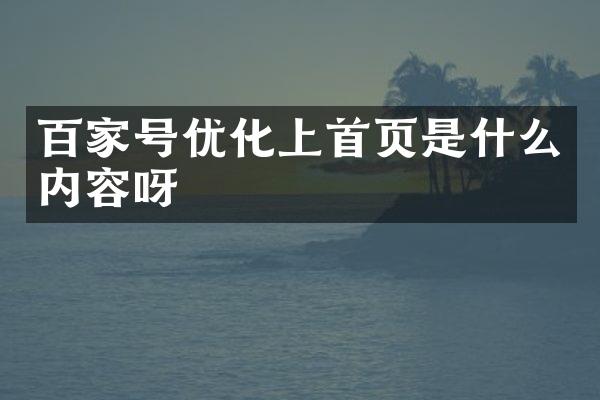 百家号优化上首页是什么内容呀