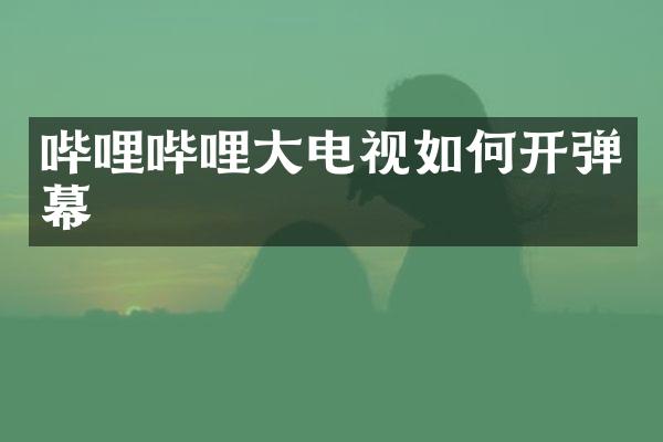 哔哩哔哩大电视如何开弹幕
