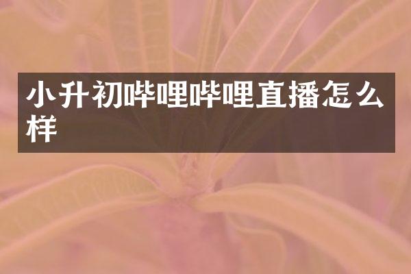 小升初哔哩哔哩直播怎么样