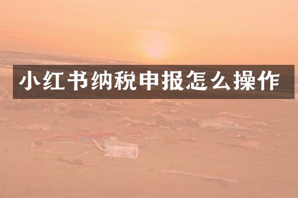 小红书纳税申报怎么操作