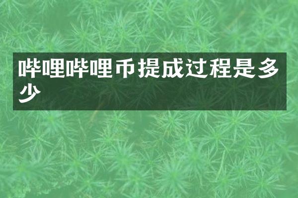 哔哩哔哩币过程是多少