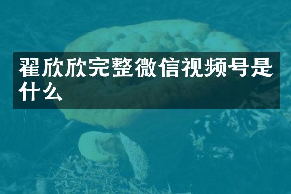 翟欣欣完整微信视频号是什么