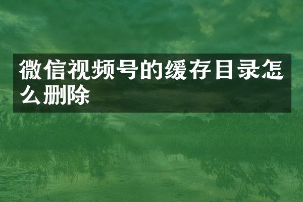 微信视频号的缓存目录怎么删除