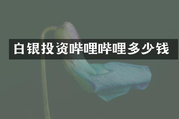 白银投资哔哩哔哩多少钱