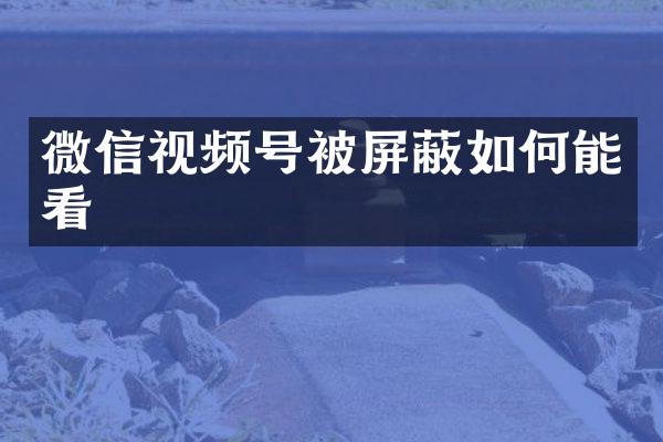 微信视频号被屏蔽如何能看