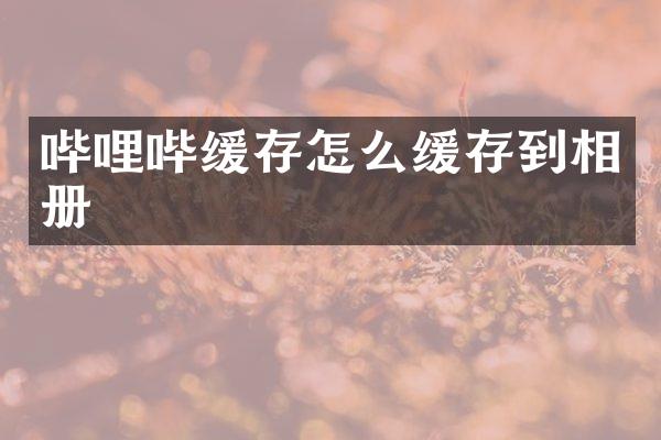 哔哩哔缓存怎么缓存到相册