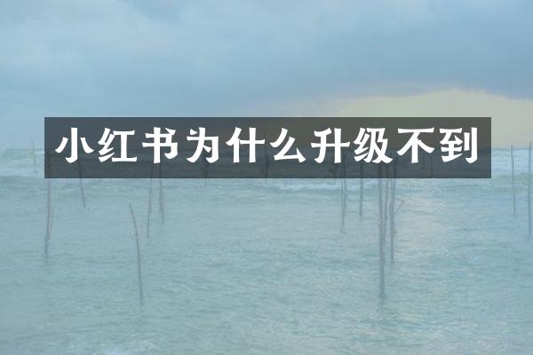 小红书为什么升级不到