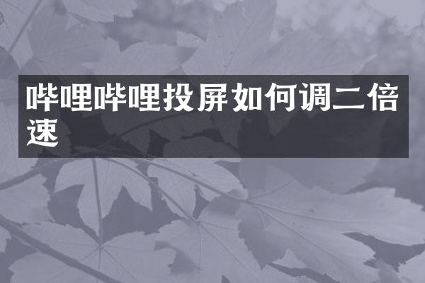 哔哩哔哩投屏如何调二倍速