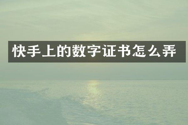 快手上的数字证书怎么弄
