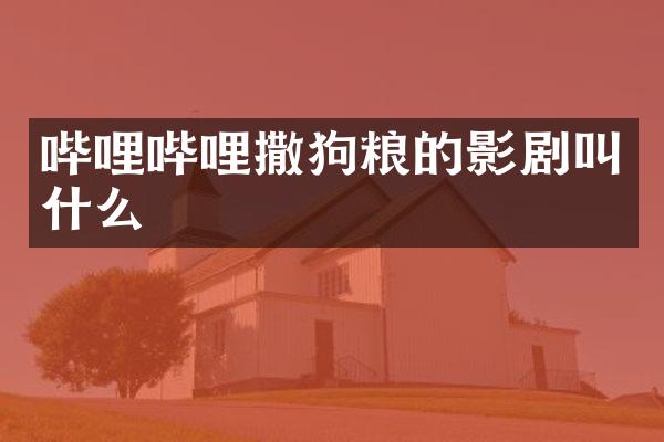 哔哩哔哩撒的影剧叫什么