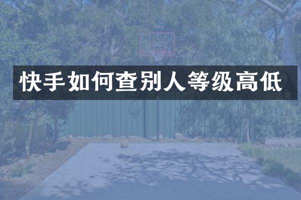 快手如何查别人等级高低