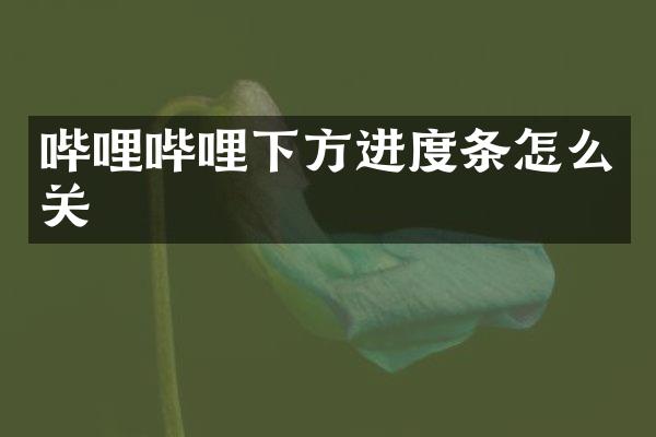 哔哩哔哩下方进度条怎么关