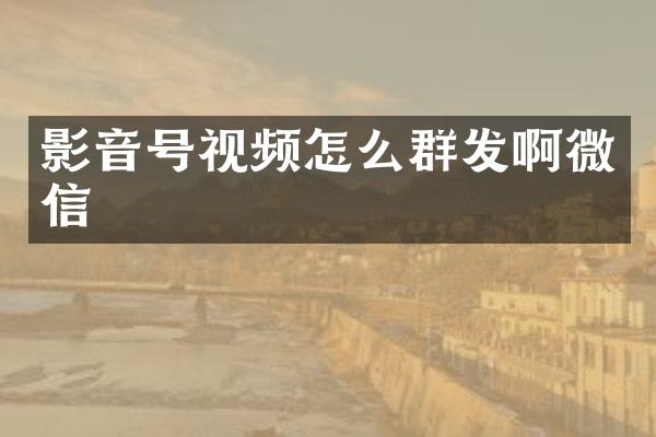 影音号视频怎么啊微信