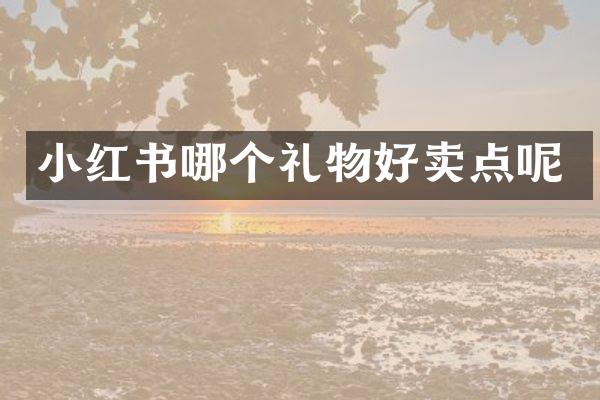小红书哪个礼物好卖点呢