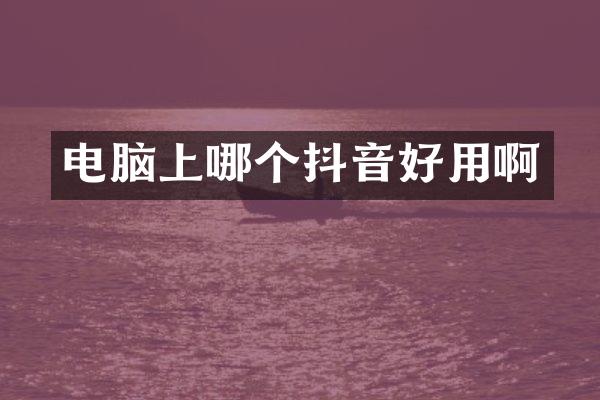 电脑上哪个抖音好用啊
