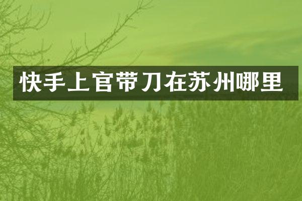 快手上官带刀在苏州哪里