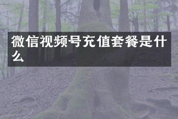 微信视频号充值套餐是什么