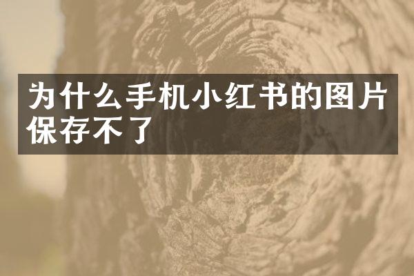 为什么手机小红书的图片保存不了