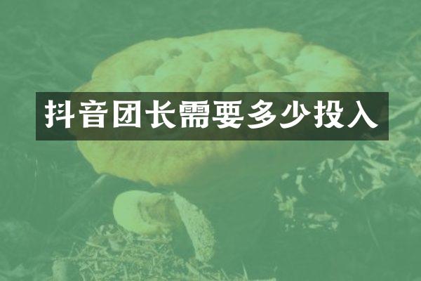 抖音团长需要多少投入
