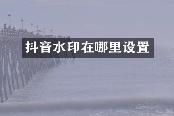 抖音水印在哪里设置