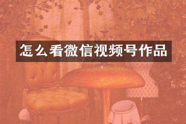 怎么看微信视频号作品