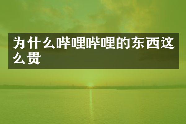 为什么哔哩哔哩的东西这么贵